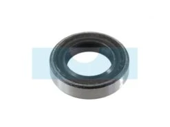 Joint Spi Pour Débroussailleuse Shindaiwa (10021219830)