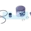 Piston Pour Tronçonneuse Echo (P021005420)