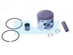 Piston Pour Tronçonneuse Echo (P021005420)