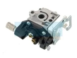 Carburateur Pour Echo (A021001462)