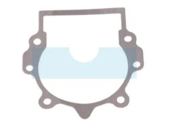 Joint De Carter Pour Débroussailleuse Solo (412509)