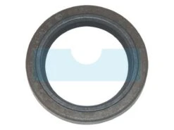 Joint Spi Pour Moteur Briggs & Stratton (391086S)