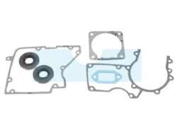 Pochette De Joint Pour Echo (10024214730)