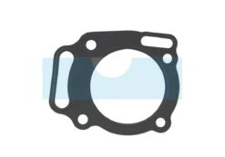 Joint De Culasse Pour Briggs & Stratton (807986)