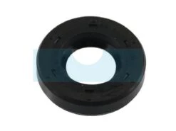 Joint Spi Pour Moteur Briggs & Stratton (691952)