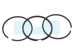 Kit Segment Pour Moteur Briggs & Stratton (493261)