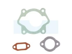 Pochette De Joint Pour Moteur As Motor (E03683)