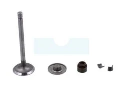 Soupape D'admission Pour Moteur Briggs & Stratton (807680)