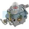 Carburateur Pour Moteur Castelgarden / GGP (1230540300)