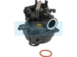 Carburateur Pour Moteur Briggs & Stratton (595489)