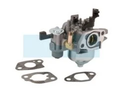 Carburateur Pour Moteur Briggs & Stratton (596079)