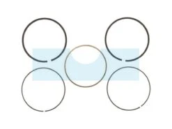 Kit Segment Pour Moteur Briggs & Stratton (715346)