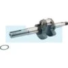 Vilebrequin Pour Moteur Briggs & Stratton (796468)