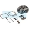 Culasse Pour Moteur Briggs & Stratton (809186)