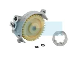 Pompe à Huile Pour Moteur Briggs & Stratton (843825)