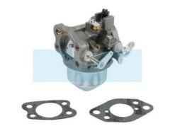 Carburateur Pour Moteur Briggs & Stratton (847049)
