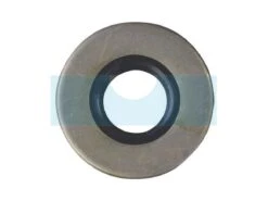 Joint Spi Pour AS Motor (E03345)