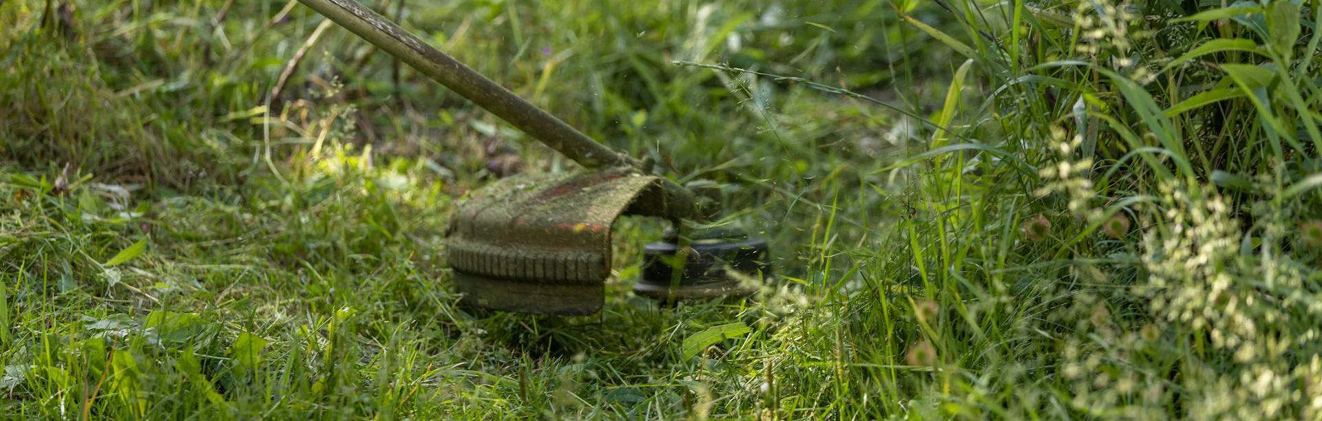 Meilleures Pièces -Meilleures Pièces pexels sejio402 29288279