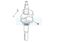 Vilebrequin Pour Moteur Kohler (1401481S)