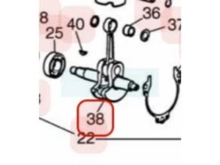 Vilebrequin Pour Moteur Zenoah (848F3R4200)